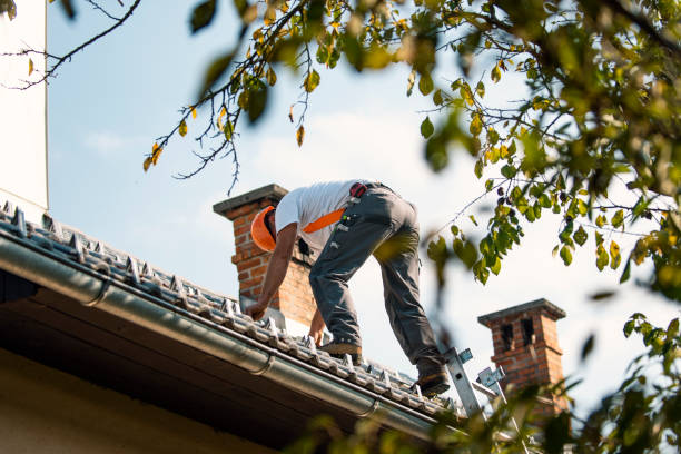 Best Gutter Installation and Roofing  in Breckenridge, TX